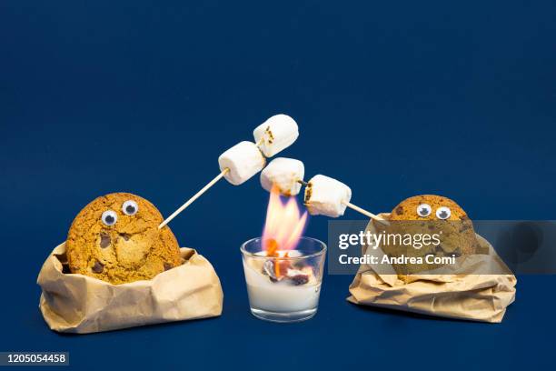 two cookies roasting marshmallows - funny rooster stockfoto's en -beelden