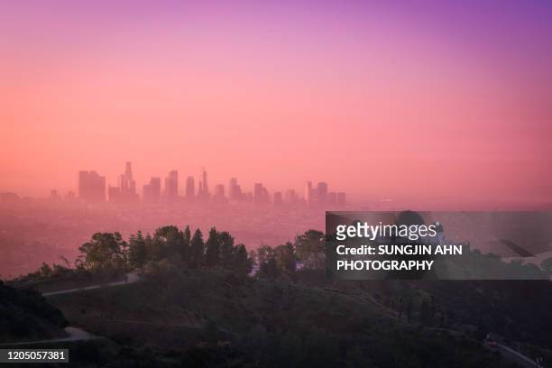 griffith observatory and downtown los angeles - griffith park stock pictures, royalty-free photos & images