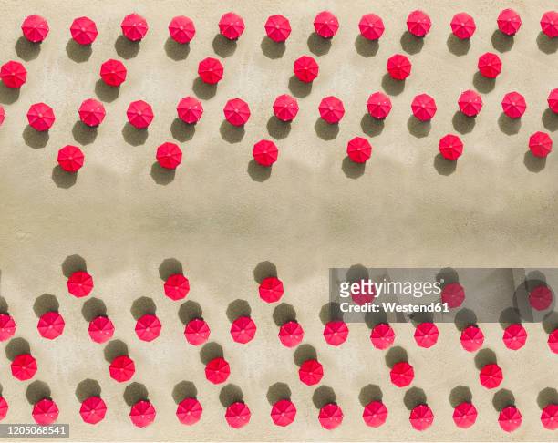 aerial view of arrangement of red beach umbrellas on sandy beach - umbrellas from above photos et images de collection