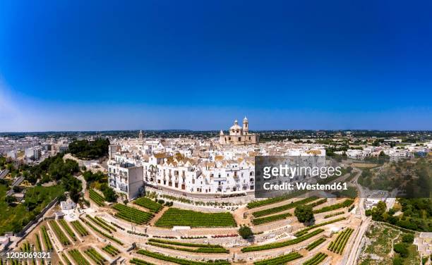 italy, locorotondo, aerial view of clear blue sky over vineyards in front of white town buildings - locorotondo stockfoto's en -beelden