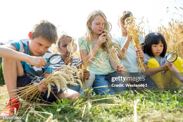 Kids Inspection 56 Ocular Inspection Stock Photos, High-Res Pictures, and Images ...