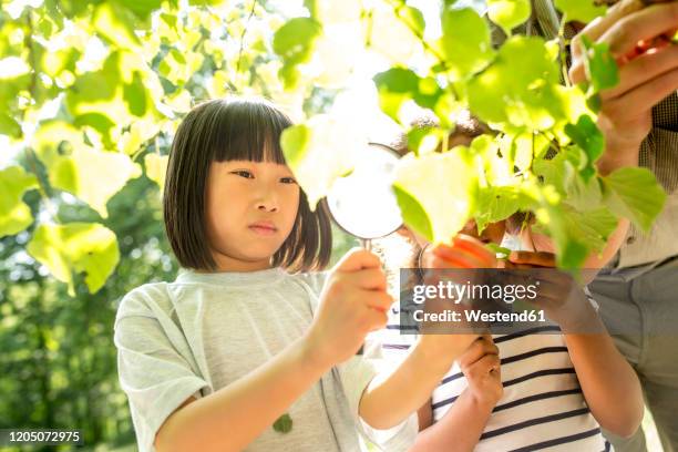 Kids Inspection 55 Ocular Inspection Stock Photos, High-Res Pictures, and Images ...
