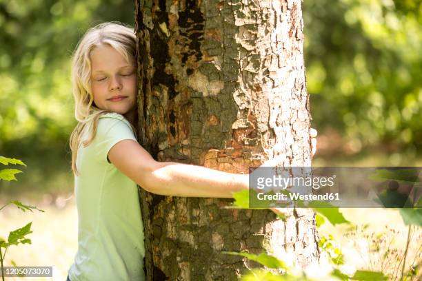 little girl hugging tree in forest - bavaria girl stock pictures, royalty-free photos & images