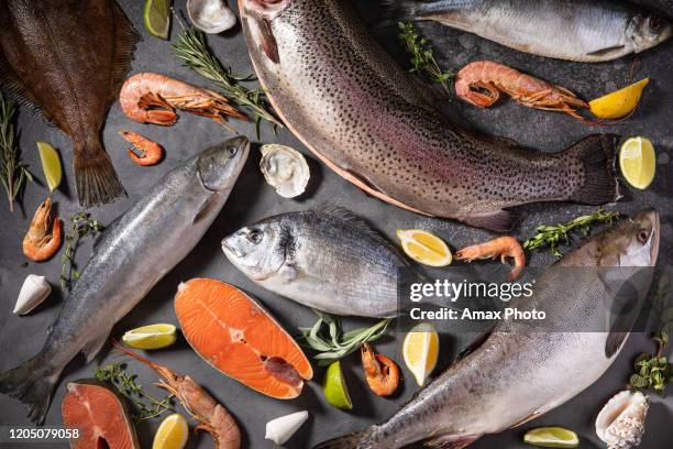 ruwe vissen op zwarte achtergrond. gezond zeevoedsel. overheadweergave.  diverse verse vissen - raw fish stockfoto's en -beelden