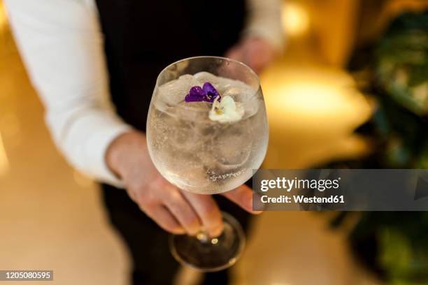 waiter serving a gin and tonic - gin tonic stock pictures, royalty-free photos & images