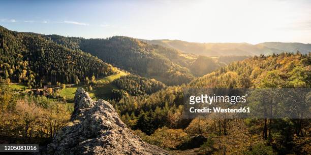 rolling landscape and karlsruher grat, ottenhoefen, black forest, germany - floresta negra - fotografias e filmes do acervo