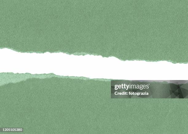 green paper tears over white - green parchment stock pictures, royalty-free photos & images