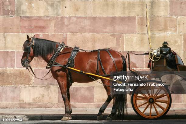 horse with carriage - horse cart ストックフォトと画像