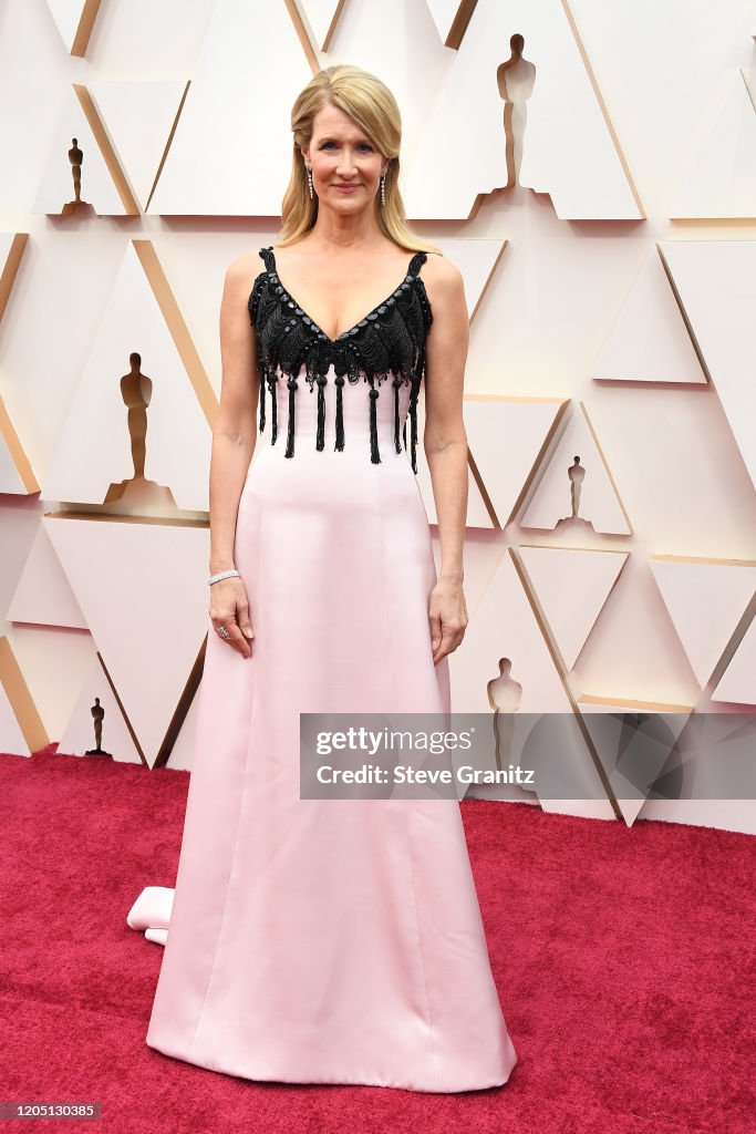 92nd Annual Academy Awards - Arrivals