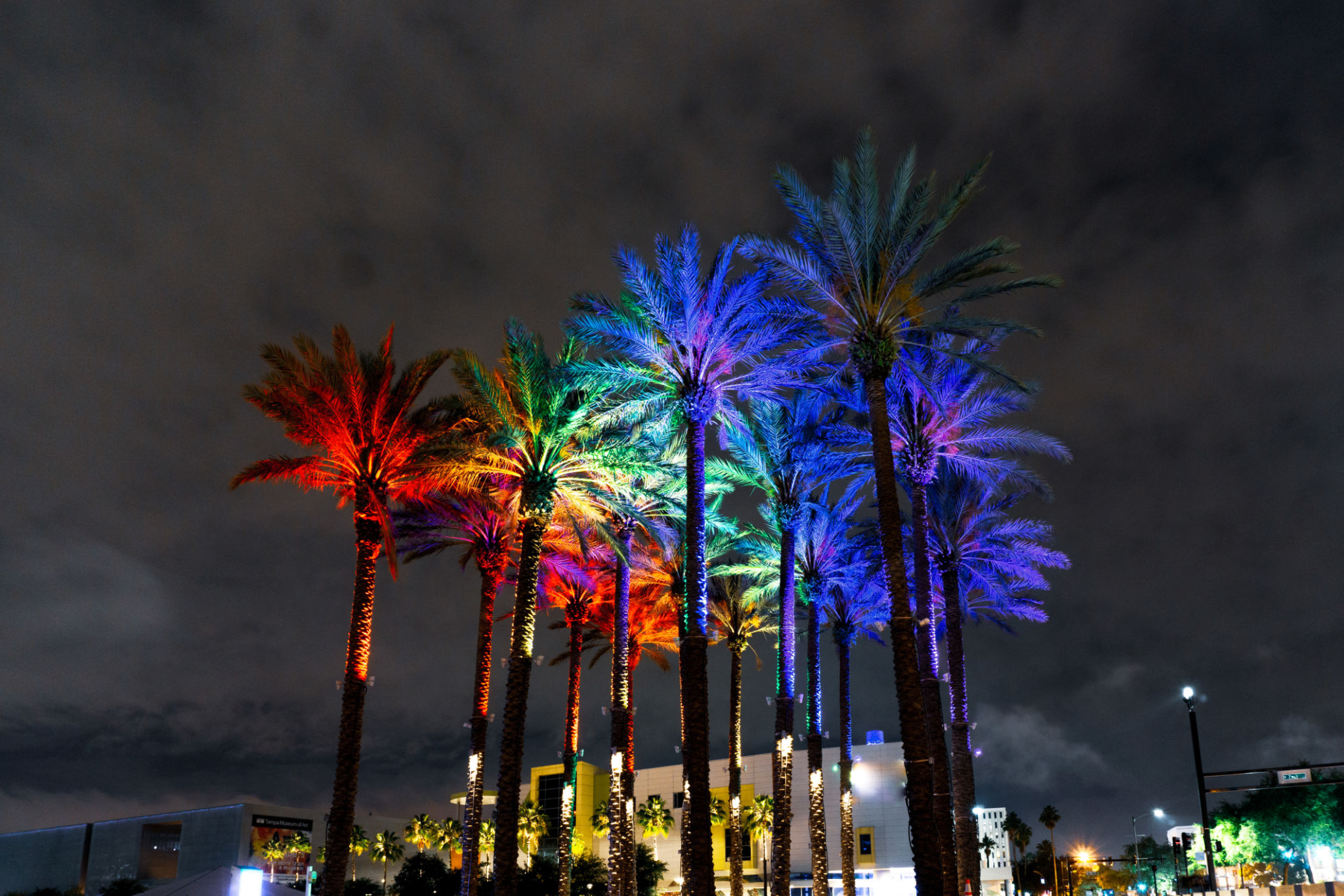tampa bay nightlife