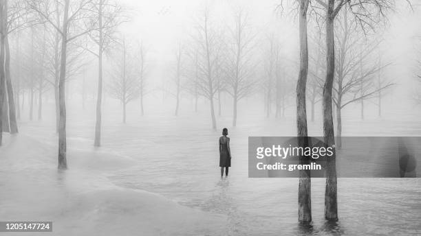 young woman walking in fantasy winter landscape - landscape black and white stock pictures, royalty-free photos & images