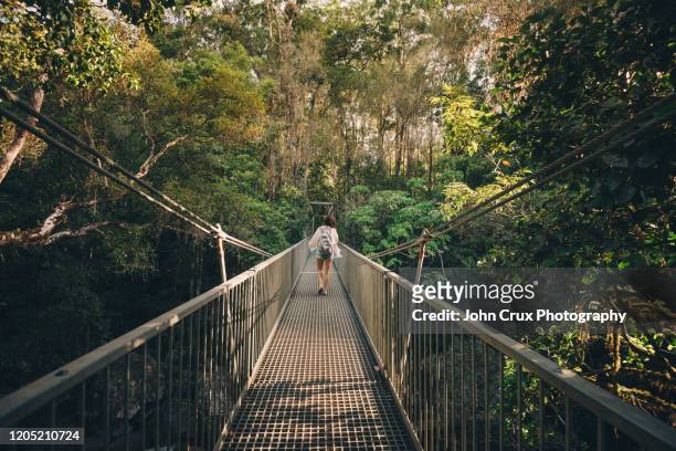 mossman gorge tourist - australian rainforest photos et images de collection