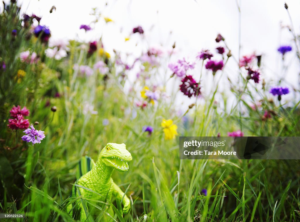 Toy dinosaur in garden with flowers