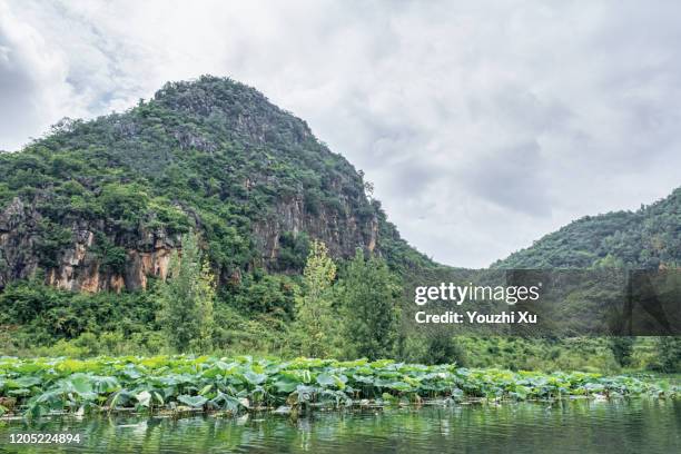 idyllic scenery with green mountains and clear waters - green mountain range stock pictures, royalty-free photos & images