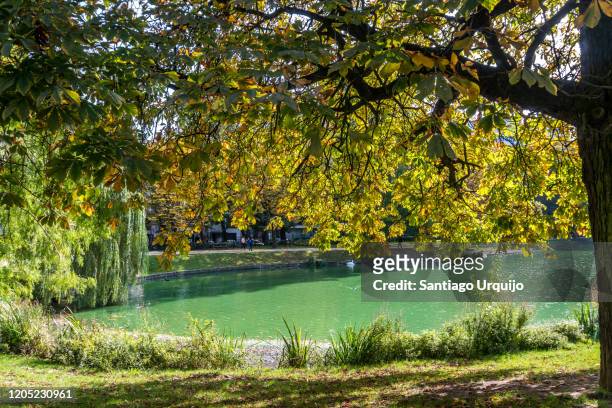 lake in park leopold in brussels - quartier européen bruxelles photos et images de collection