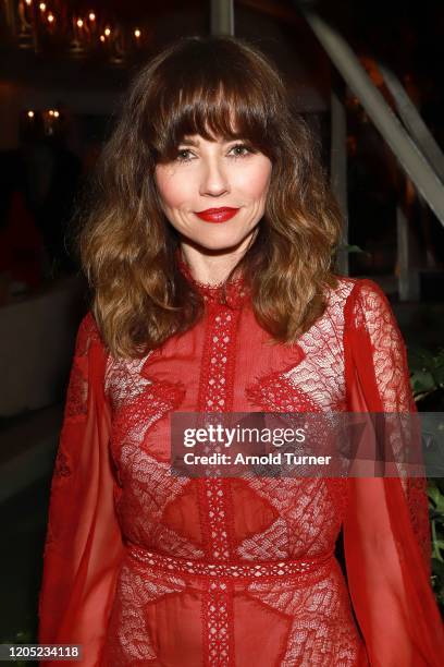 Linda Cardellini attends the 2020 Netflix Oscar After Party at San Vicente Bugalows on February 09, 2020 in West Hollywood, California.
