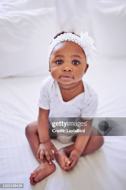 Baby Big Bird Photos and Premium High Res Pictures Getty Images