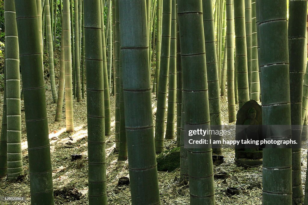 Bamboo with stone statue