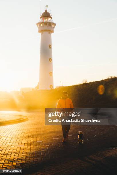 man a dog meet scenic sunrise at the beautiful white lighthouse in the city, netherlands - running netherlands stock pictures, royalty-free photos & images