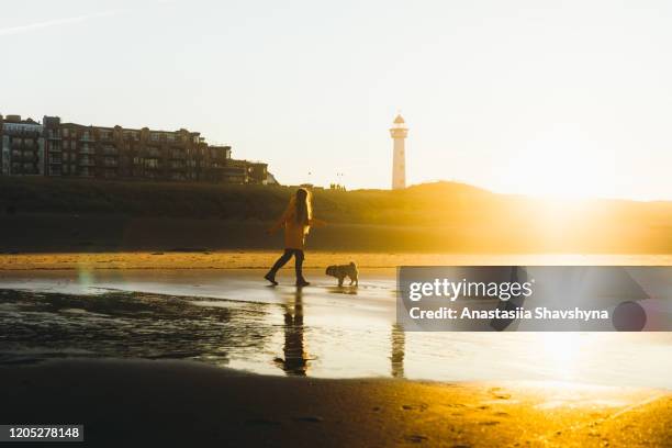 jonge vrouw en een hond die bij het strand tijdens schilderachtige zonsopgang in nederland lopen - running netherlands stockfoto's en -beelden