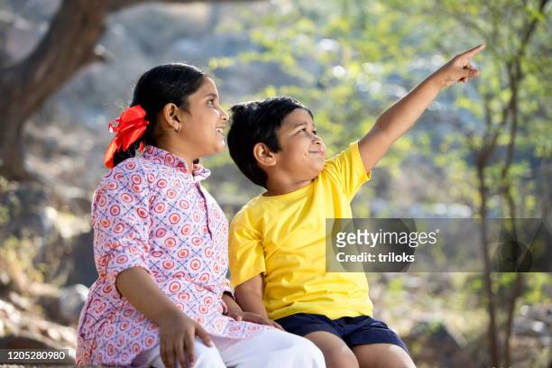 brother and sister at park - indian girl pointing stock pictures, royalty-free photos & images