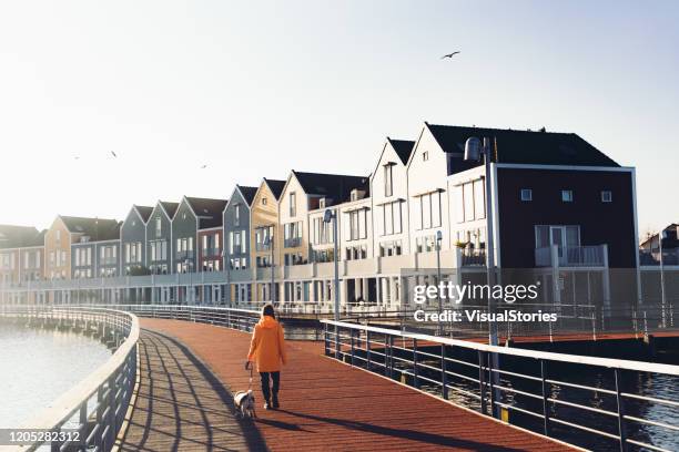 mujer con impermeable caminando con perro en el puente durante la puesta del sol en los países bajos - espacio creado por el hombre fotografías e imágenes de stock