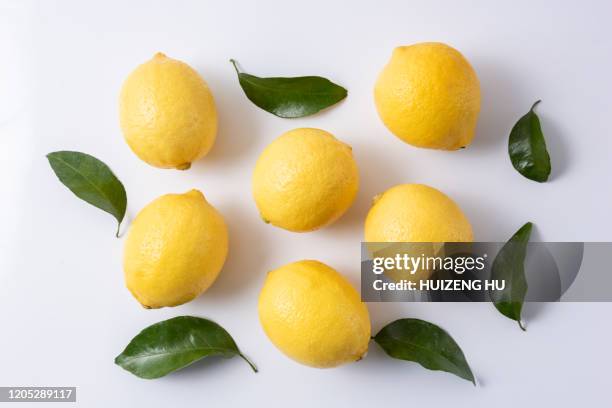 lemons with leaves on a white background - lemon leaf stock pictures, royalty-free photos & images