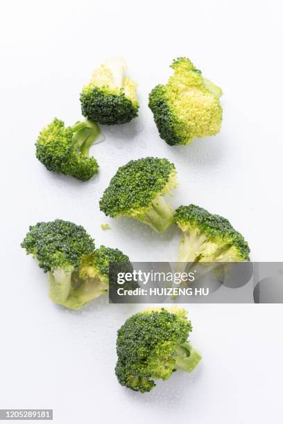 fresh broccoli on white background - broccoli white background stock pictures, royalty-free photos & images