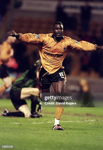 Ade Akinbiyi of Wolverhampton Wanderers celebrates his goal during the Nationwide League Division One match against Birmingham City at Molineux in...