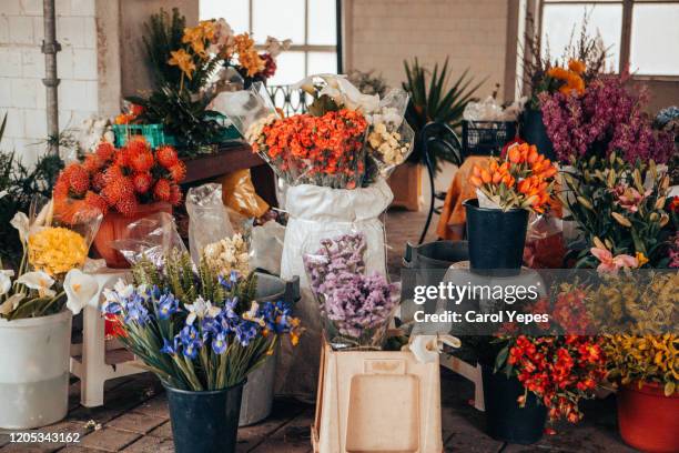 flowers market stall in oporto,portugal - flower shop stockfoto's en -beelden