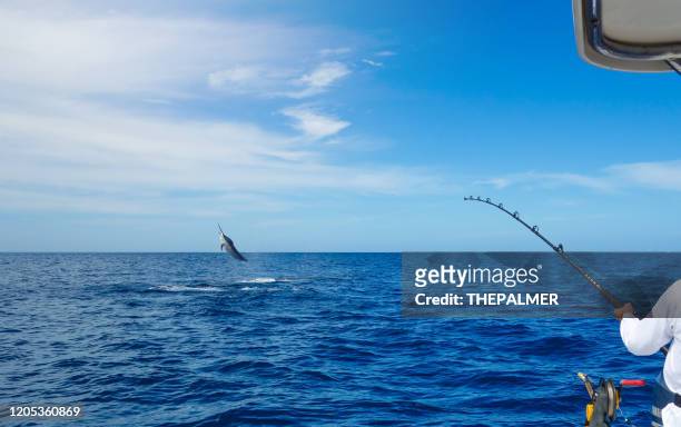 kampf mit einem schwertfisch - deep sea fishing stock-fotos und bilder