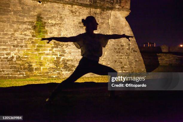 castillo de san marcos in st augustine - national teacher stock pictures, royalty-free photos & images