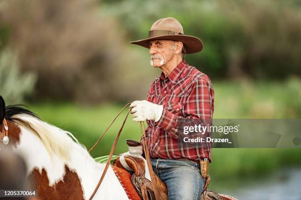 rodeo y vaqueros en la arena montando caballos salvajes - caballo enfadado fotografías e imágenes de stock