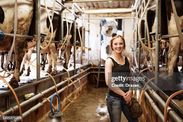 kleine bedrijven in de melkproductie - dairy farming stockfoto's en -beelden