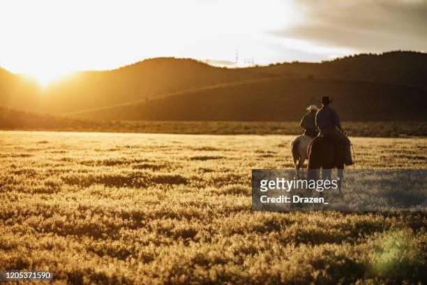 volwassen cowboys die galopperende paarden berijden - country western outside stockfoto's en -beelden