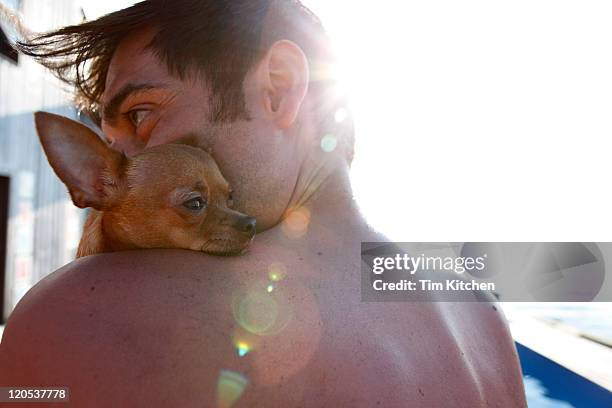man with chihuahua on shoulder by pool - chihuahua stock-fotos und bilder