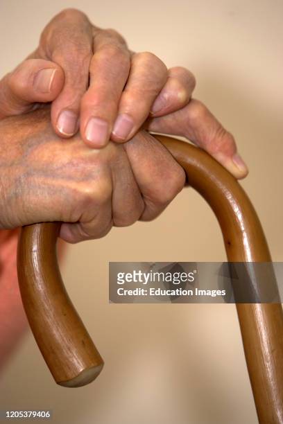 Elderly woman arthritic hands on walking stick.