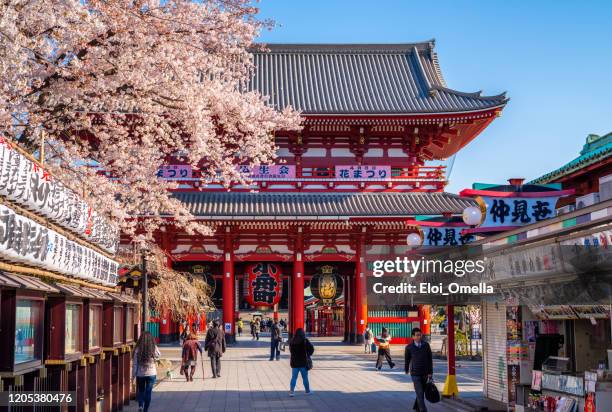 kirschblüten-sakura im sensoji -tempel (senso-ji) in asakusa, tokio, japan - asakusa senso temple stock-fotos und bilder