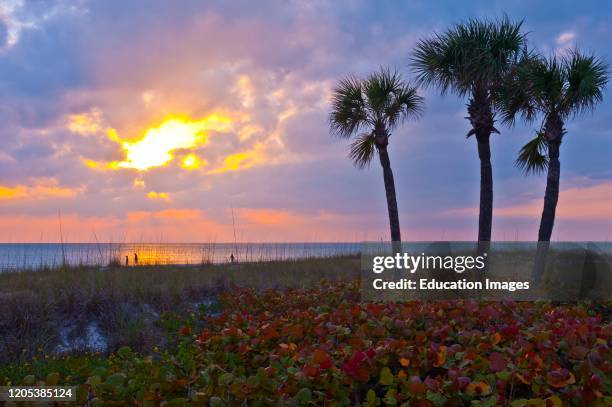 Florida, Crescent Beach, Siesta Key, Sarasota, Seascape, Sunset.