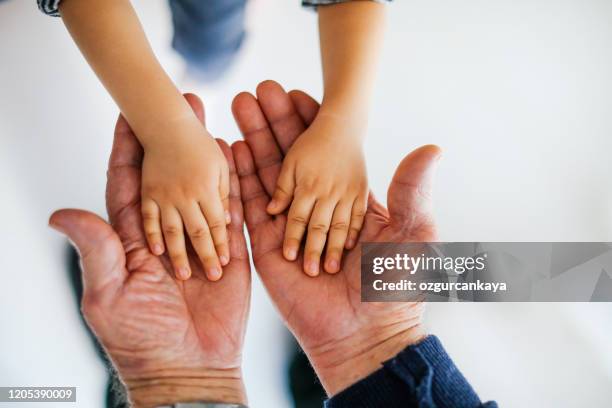 primosto a mano di nonno e nipote che si tengono per mano - granddaughter foto e immagini stock