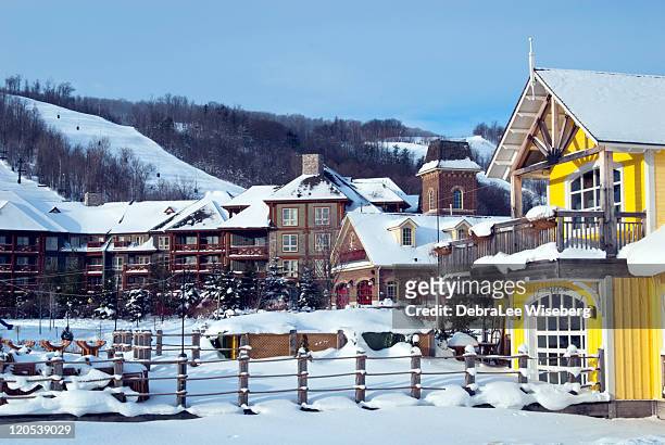 winter playground - blue mountain stock pictures, royalty-free photos & images
