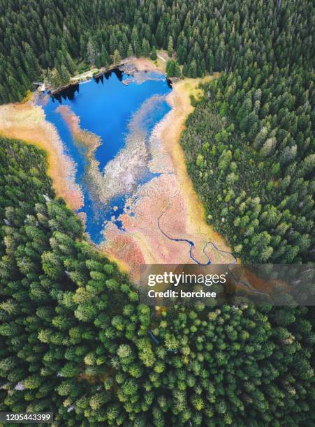 idyllisch bergmeer - slovenië stockfoto's en -beelden