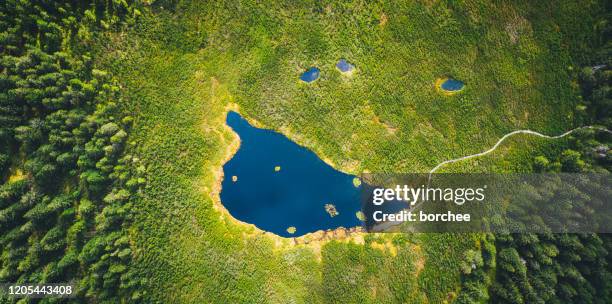 aerial view on picturesque mountain lake - slovenia lake stock pictures, royalty-free photos & images