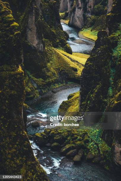 fjadrargljufur canyon in ijsland - ijsland stockfoto's en -beelden