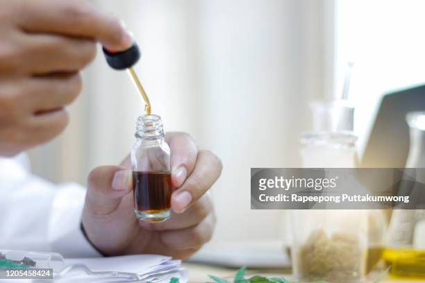 medical cannabis. analysis of cannabis in laboratory. - cannabis oil - fotografias e filmes do acervo