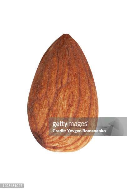 almond nut isolated on white background - seed ストックフォトと画像
