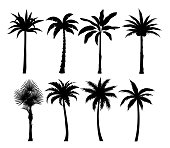 Palm trees silhouettes vector illustrations set