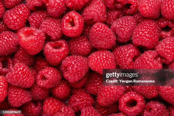 fresh and sweet raspberries background - summer fruits stock-fotos und bilder