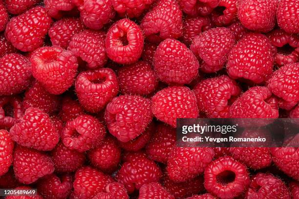 fresh and sweet raspberries background - framboises photos et images de collection