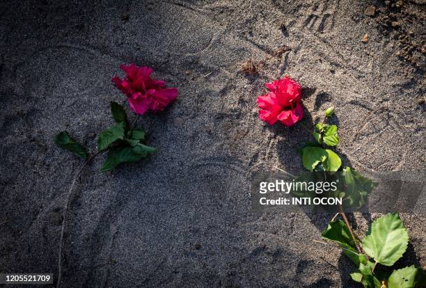 View of flowers on the ashes of late poet Ernesto Cardenal in Solentiname, Rio San Juan on March 6, 2020. - Cardenal, figure of the Sandinista...